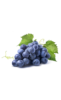 OPC — ekstrakt z winogron — listy czytelników