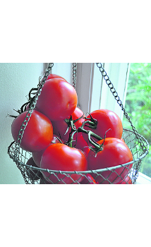 Pomidorowe kuracje
