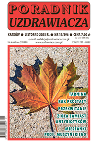 Uzdrawiacz nr 11/2025